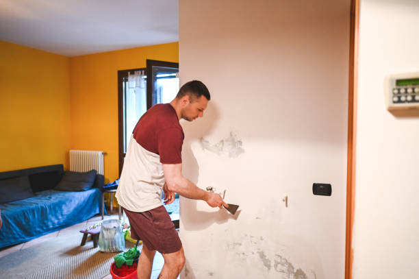 Best Attic Mold Removal  in Hillsboro, KS